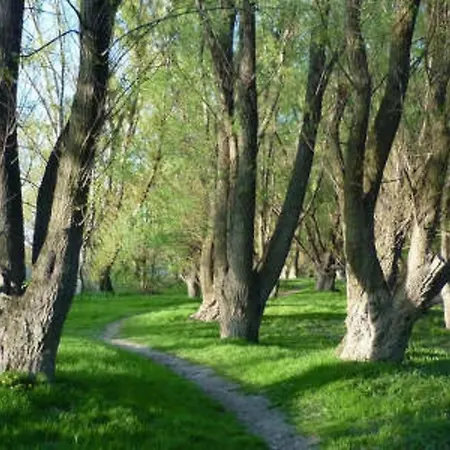 Daire Palma Szallashely 5a